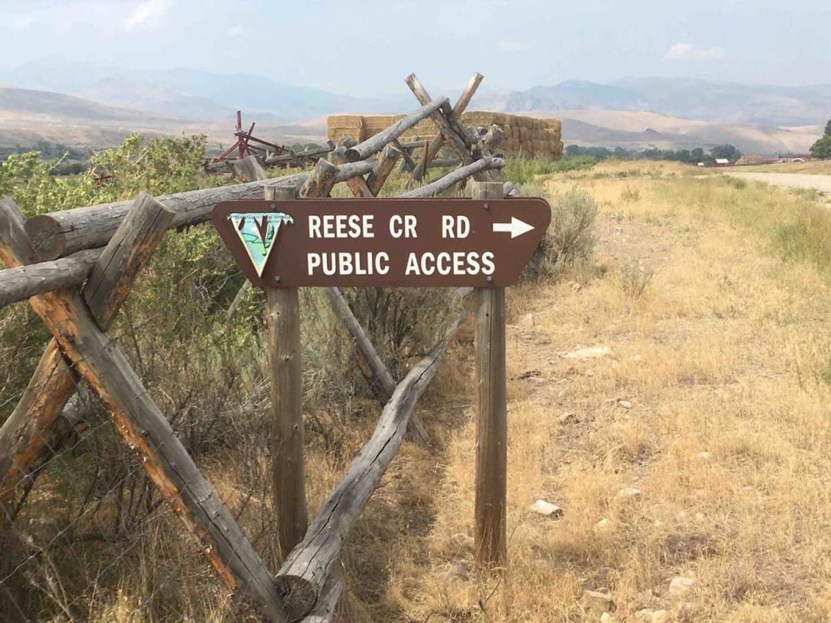 Reese Creek Road trail photo