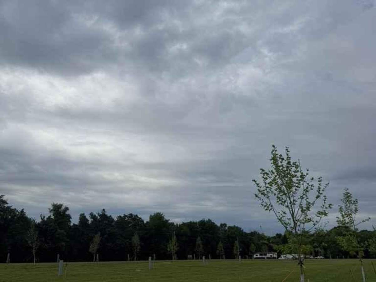 Campground Loop photo 2