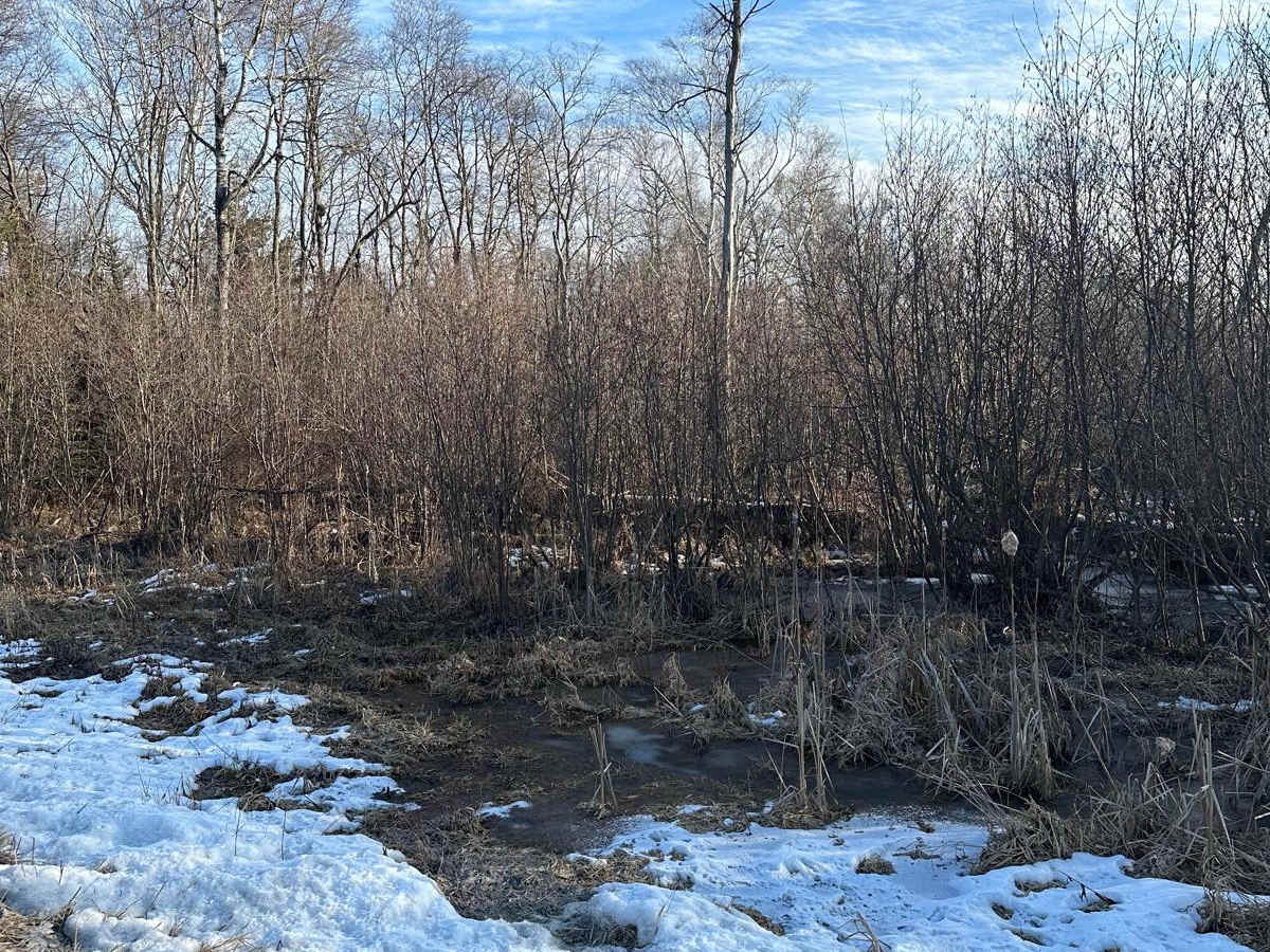 Grass Lake Road photo 2
