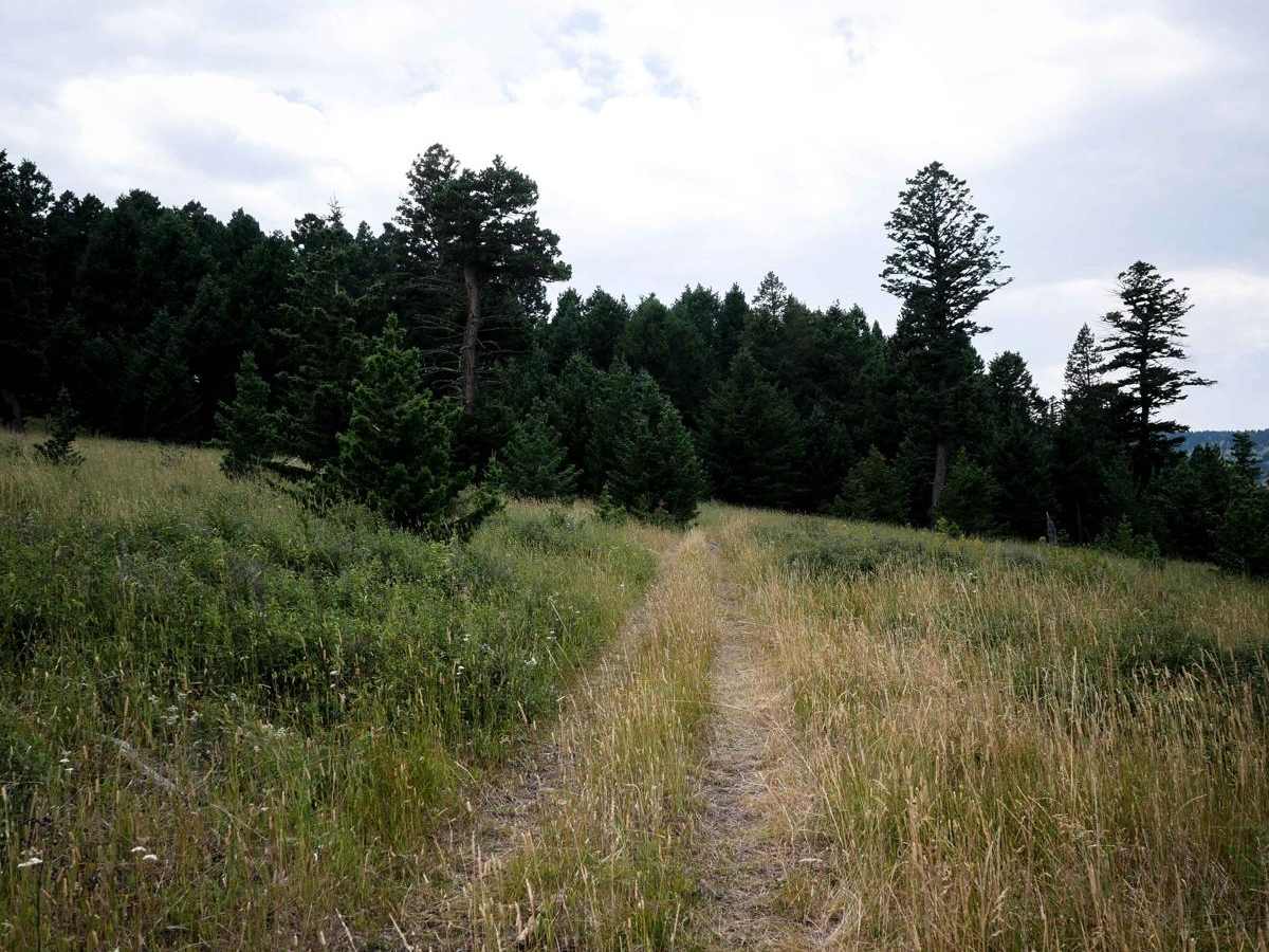 Bangtail Creek Loop ATV photo 6