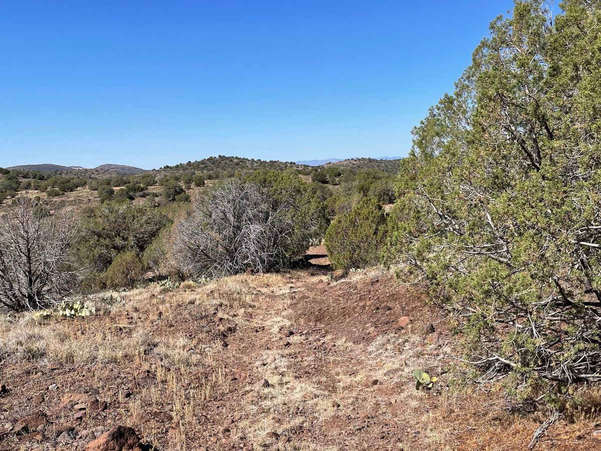 Juniper Hill Loop photo 6