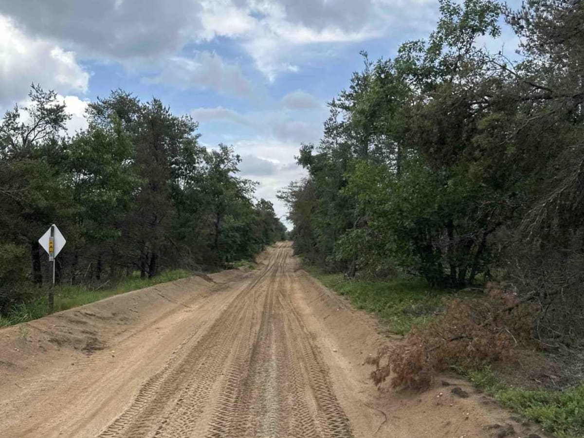 LP 9 to Elk Road photo 2