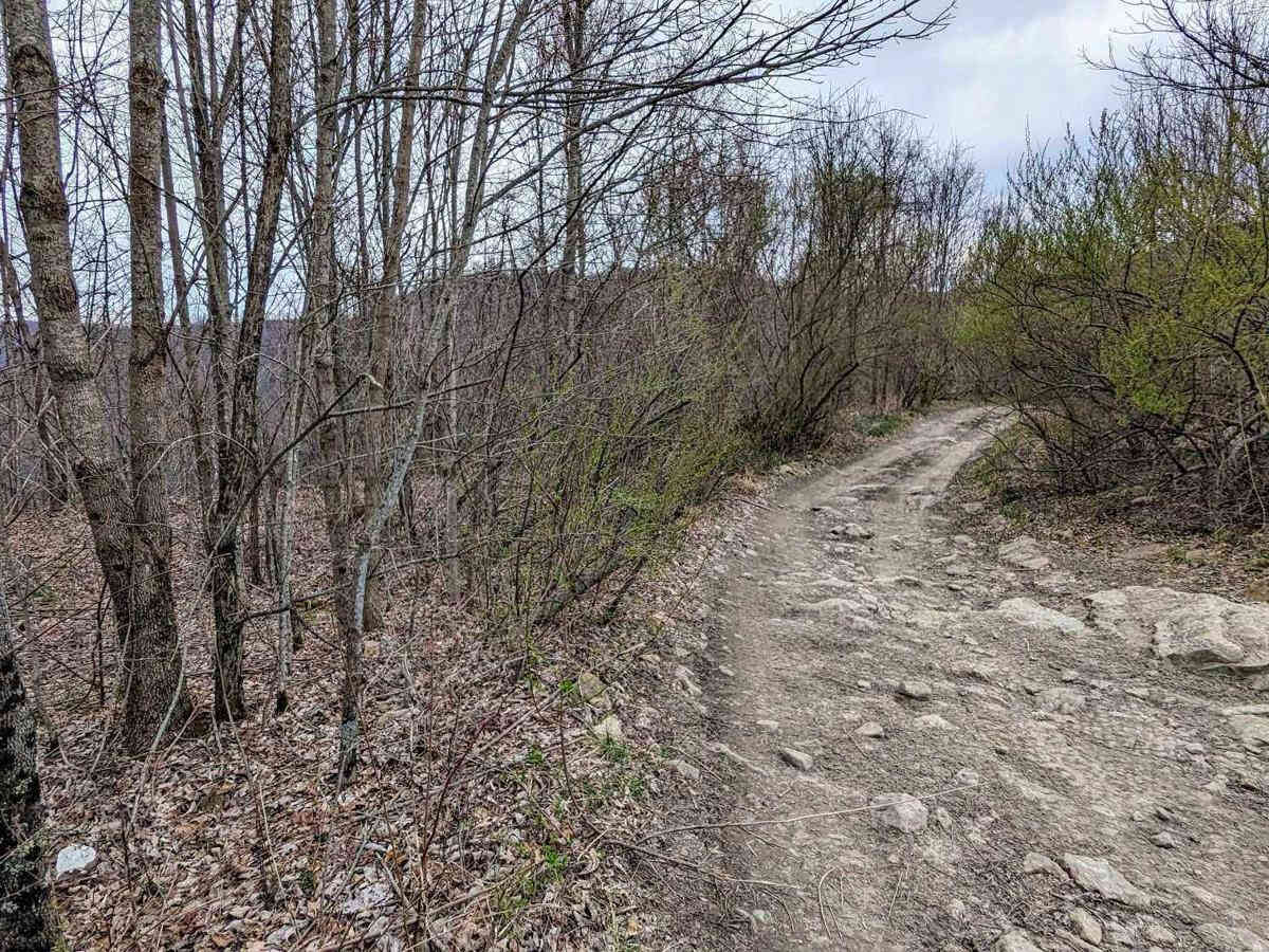 29 trail photo