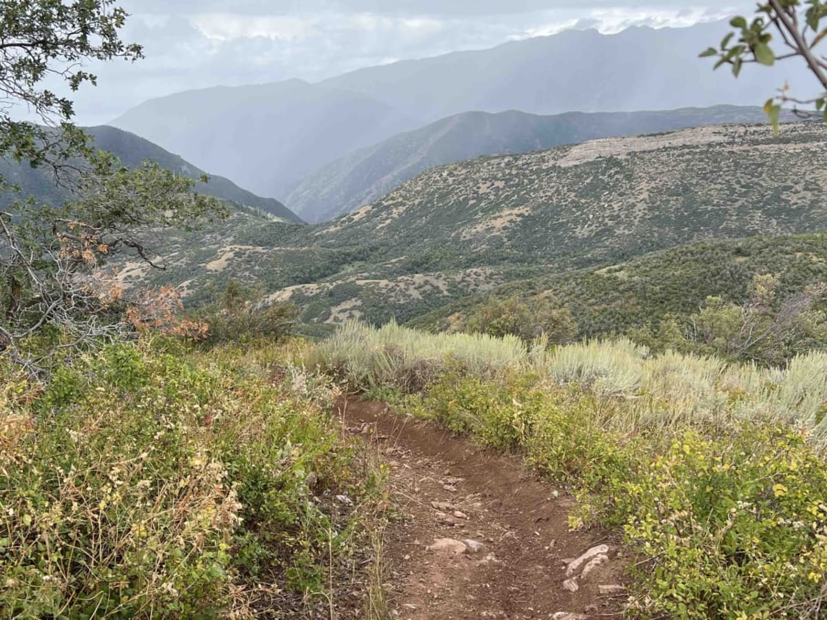 Mapleton-Sawmill Hollow (8013) trail photo