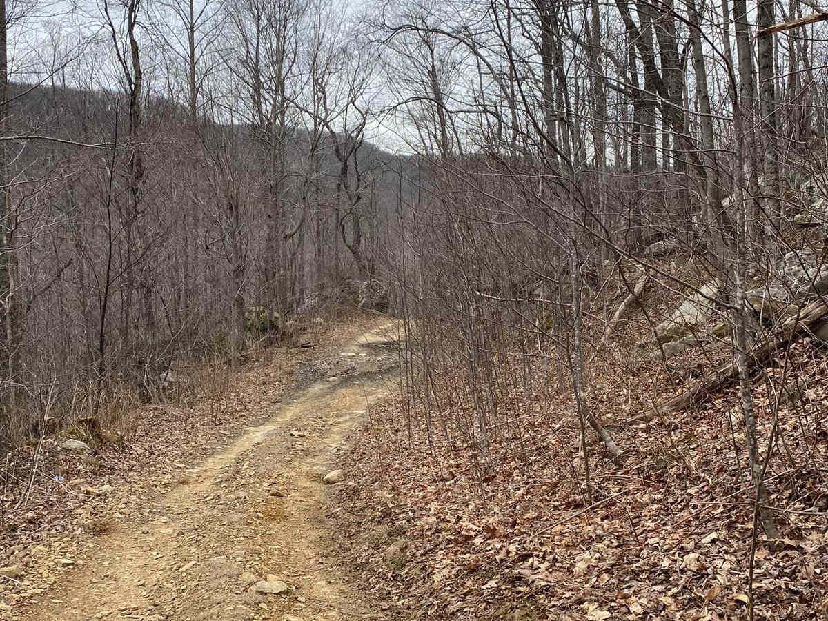 Trail 56 Windrock photo 5