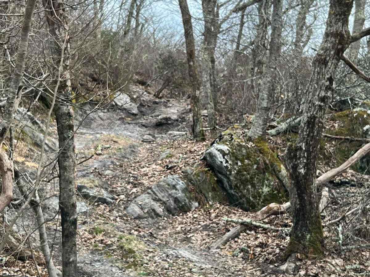 Potts Mountain Jeep Trail photo 6