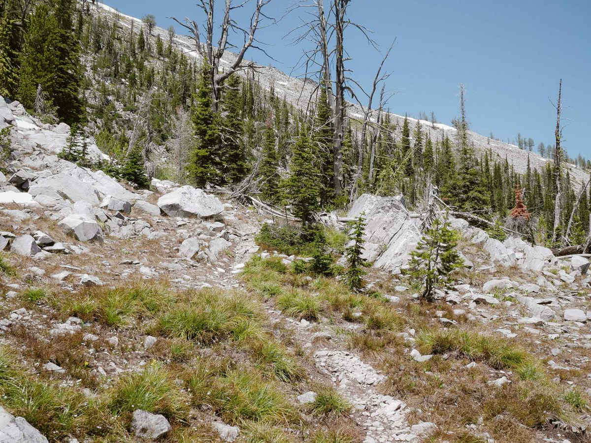 Ditch Creek photo 2