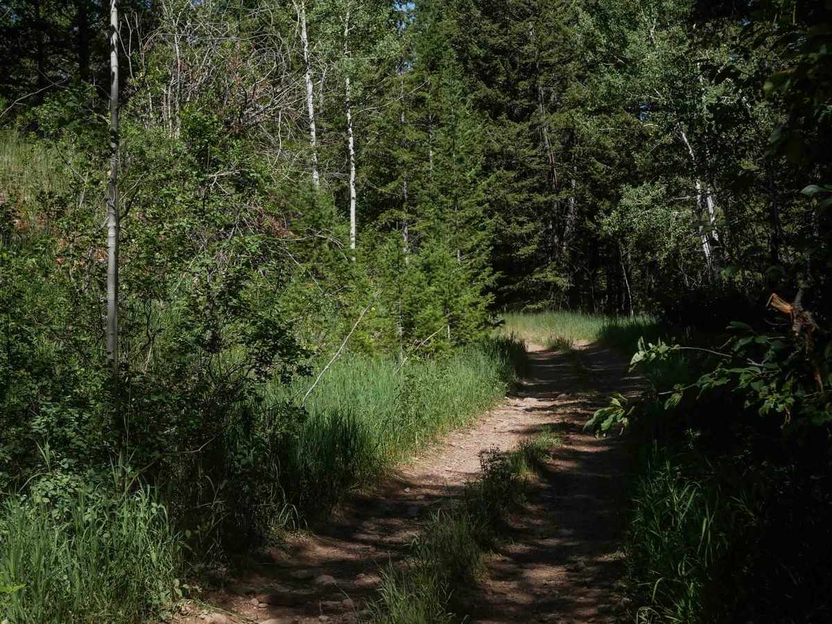 Trail Canyon East #5250  photo 4