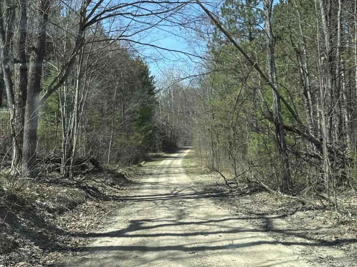 FS 4119 photo 5