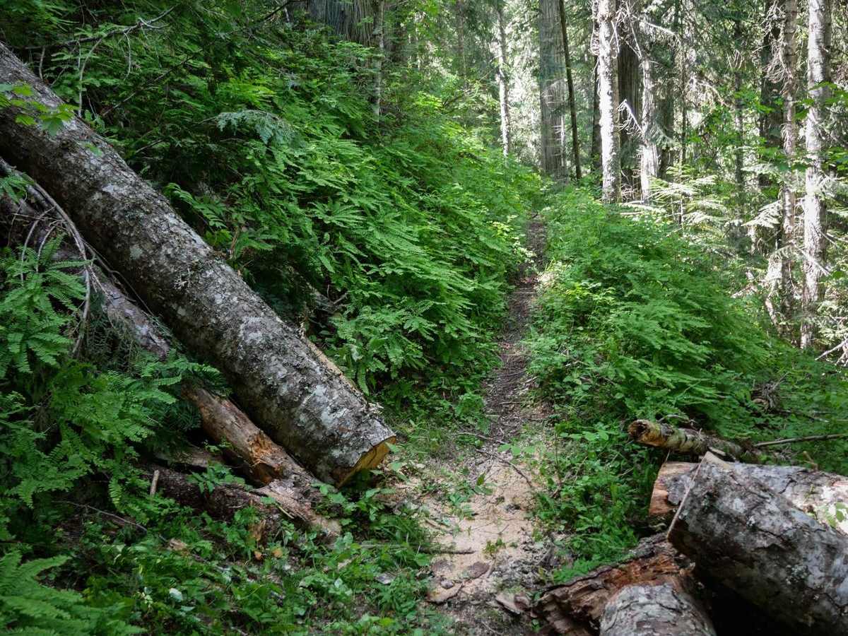 Cabin Point trail photo