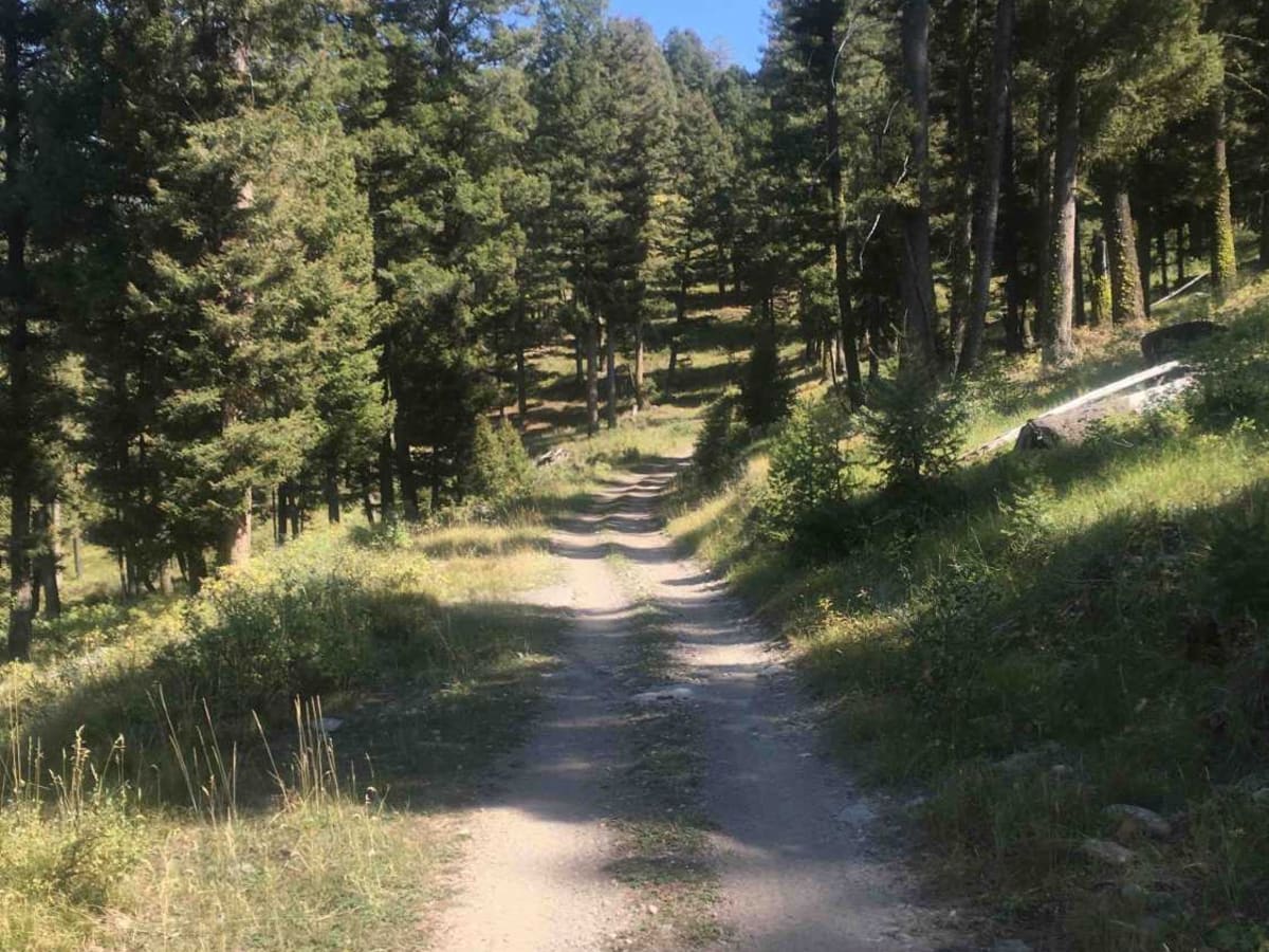 Stoddard Creek Loop Trail photo 2