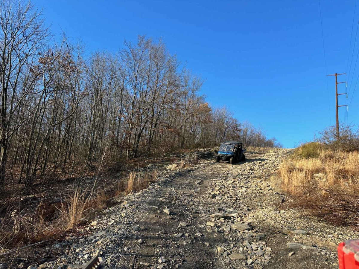 Locust Gap 69 photo 4