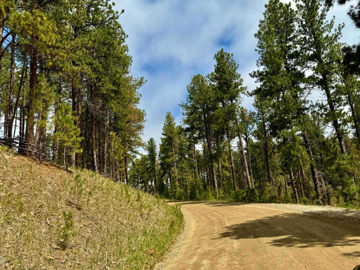 Boulder Hill - FS 358 photo 3