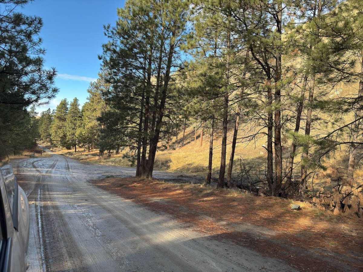 Brennan Creek trail photo
