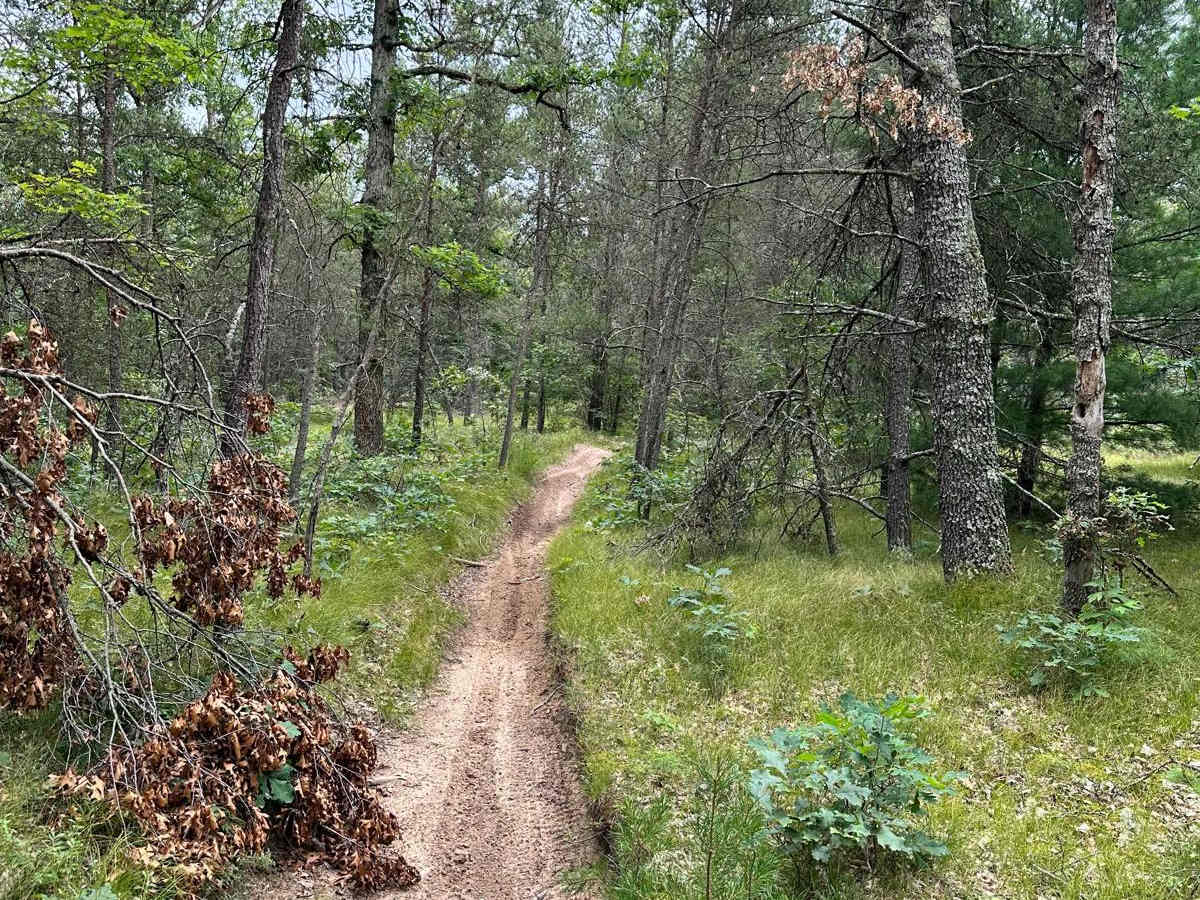 S/W Little Manistee Motorcycle Trail photo 4