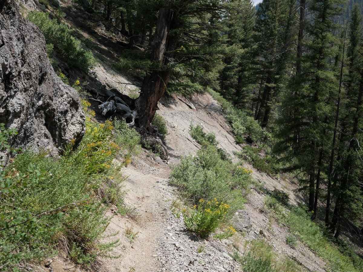 Five Mile Creek photo 3