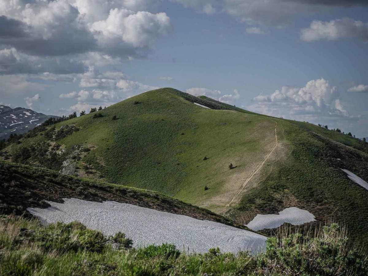 East Slope of Old Baldy Peak photo 6