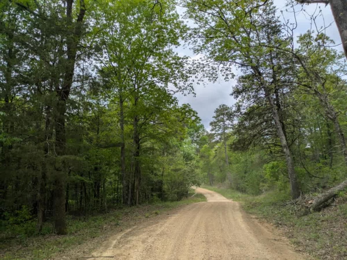 White Creek trail photo