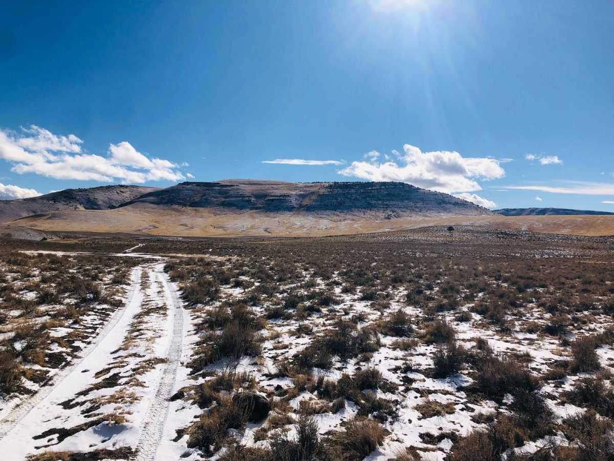 Wild Horse Tank Road photo 6