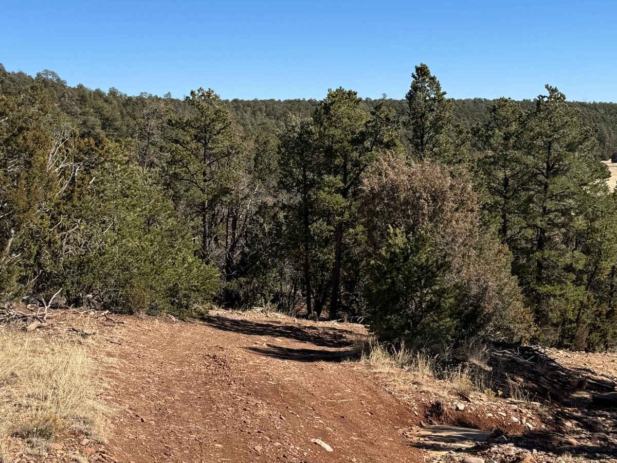 Glorieta Mesa photo 6