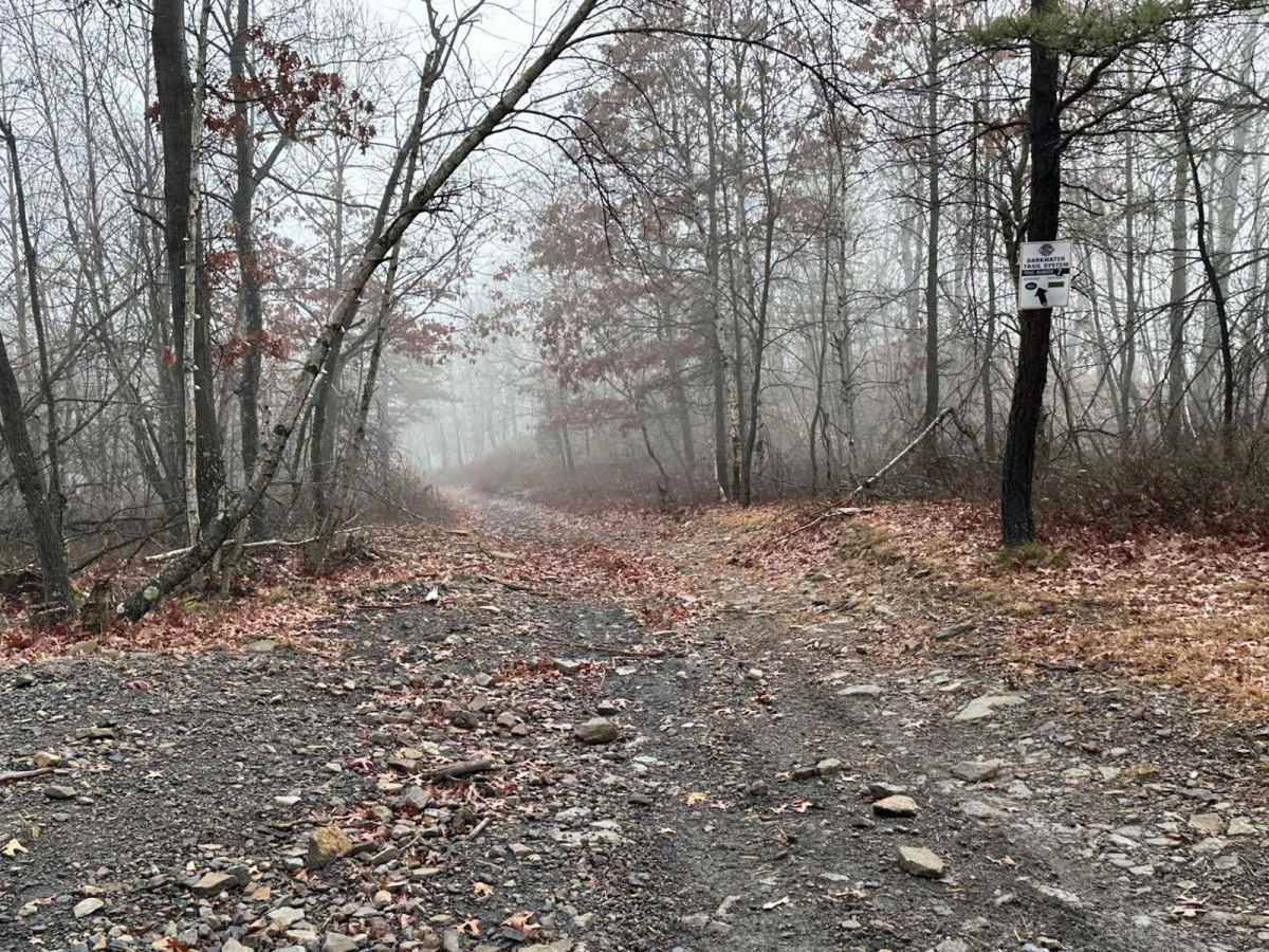 Hill Island Road to Paradise Connector photo 4
