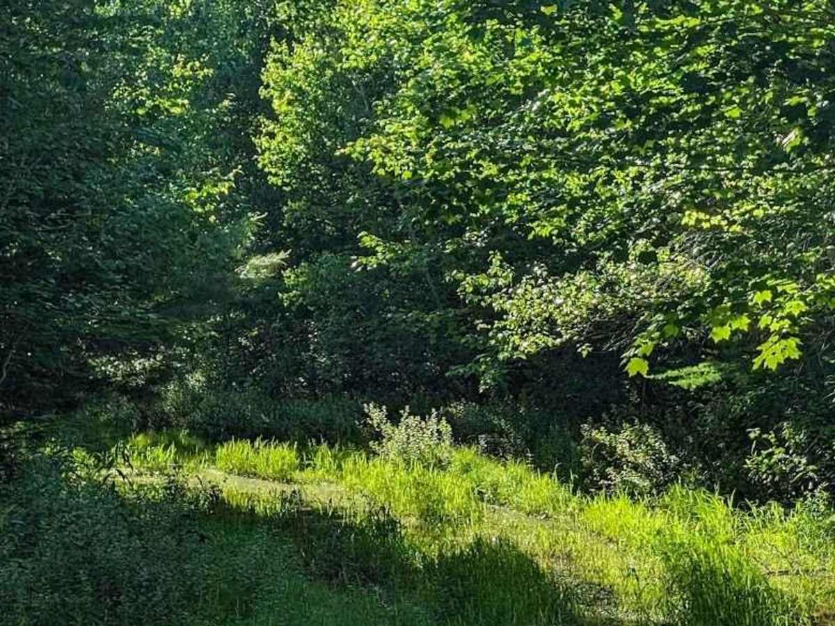 Mill Bank Bend photo 3
