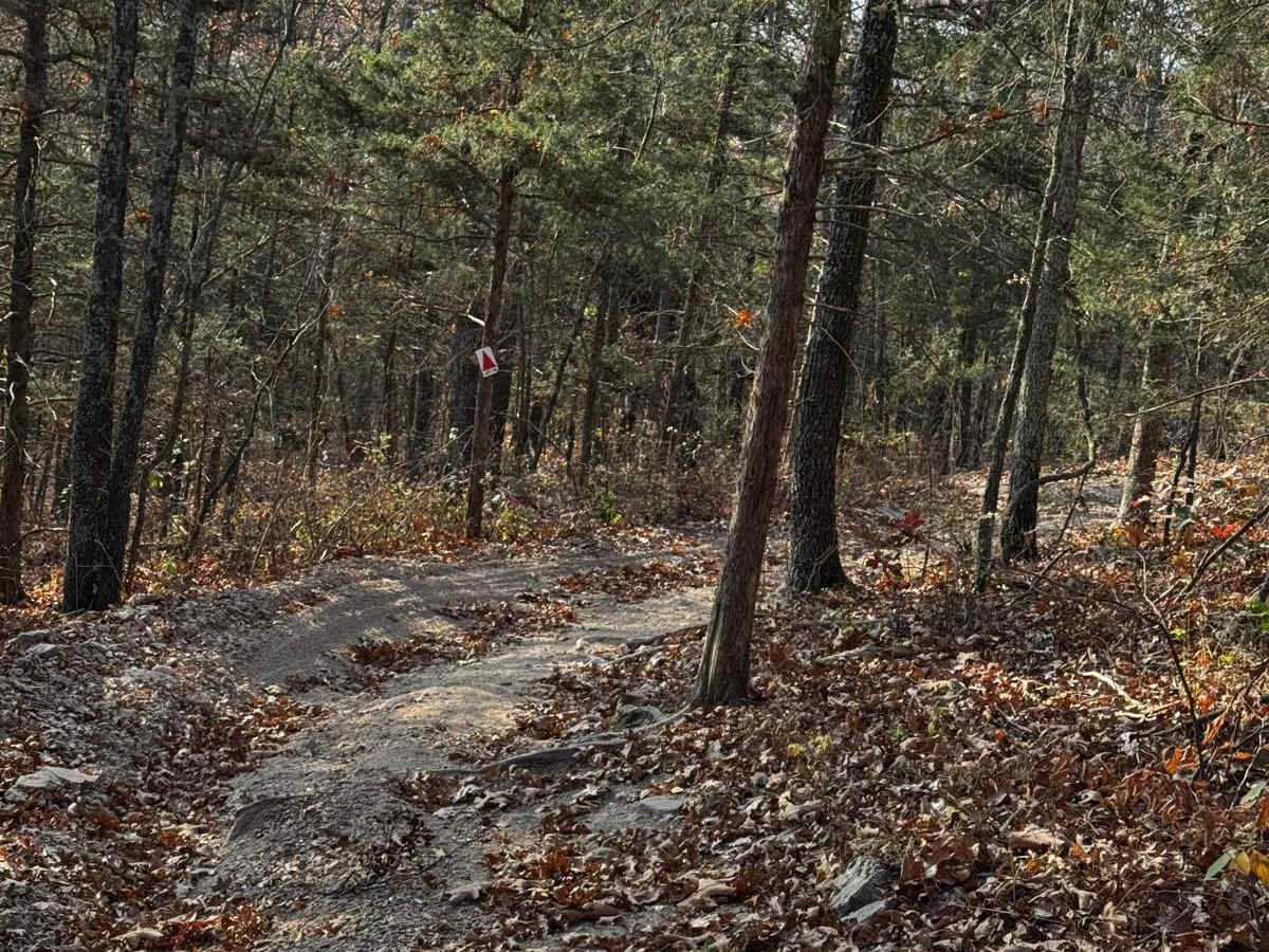 Bluff Run photo 5