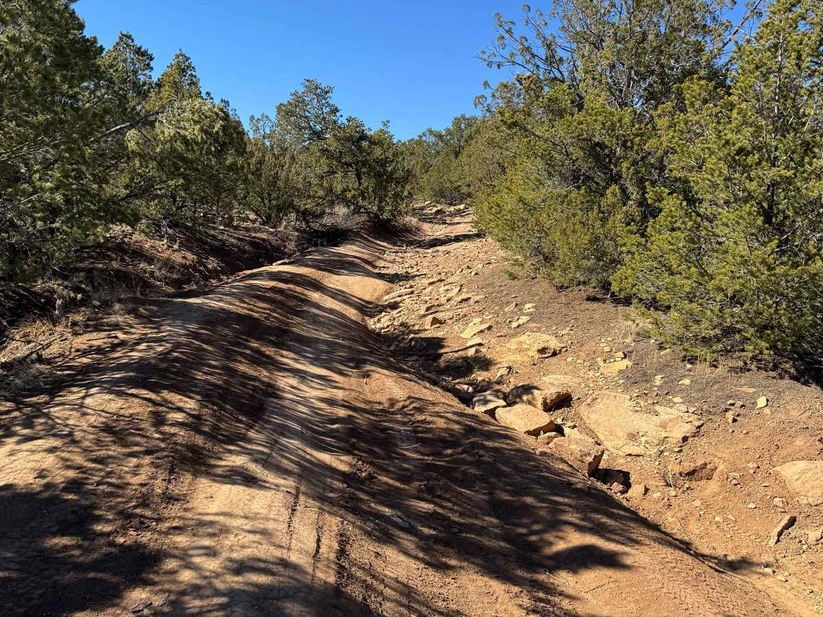 Glorieta Mesa trail photo