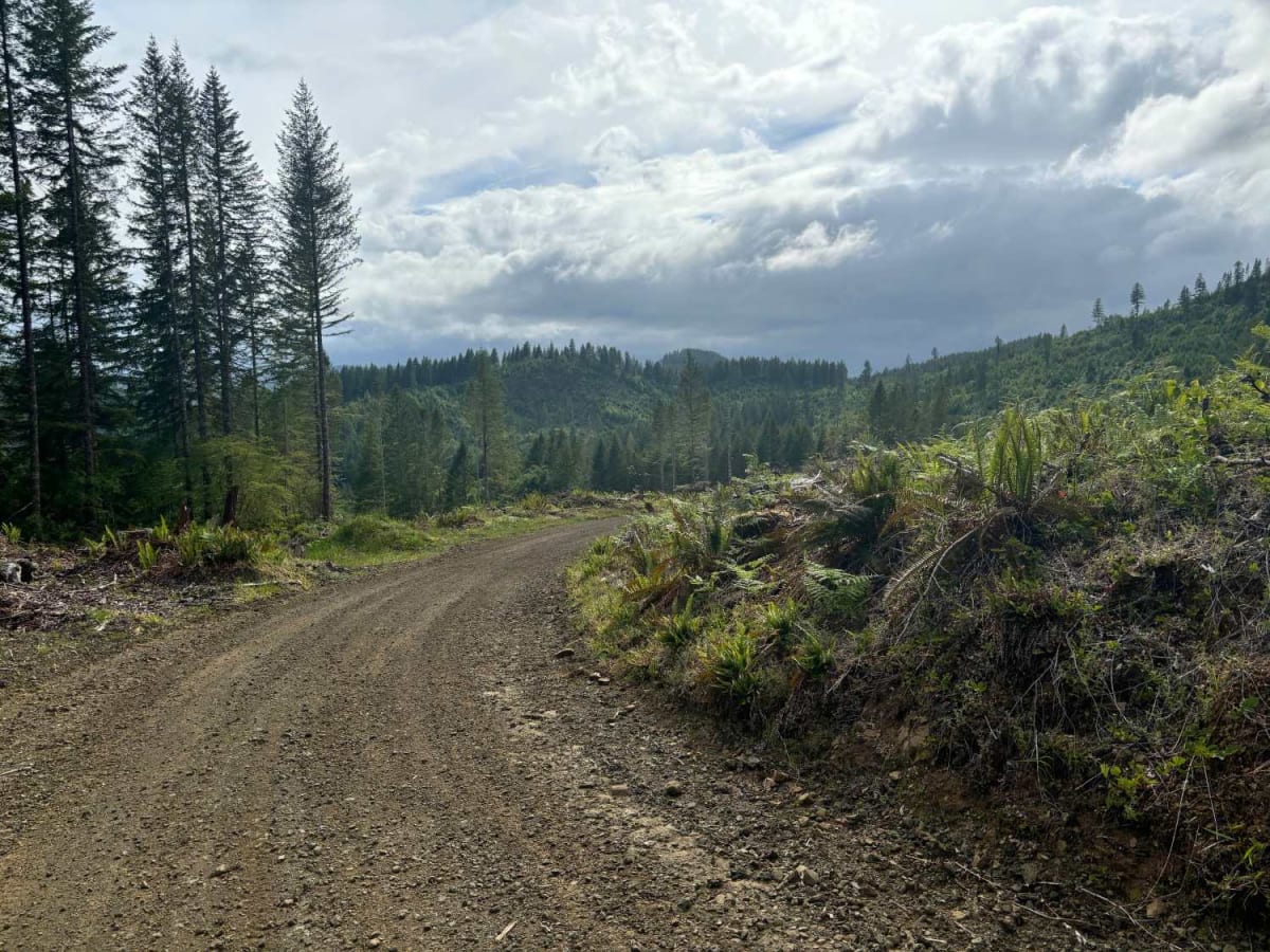 Murphy Guard Station Loop photo 3