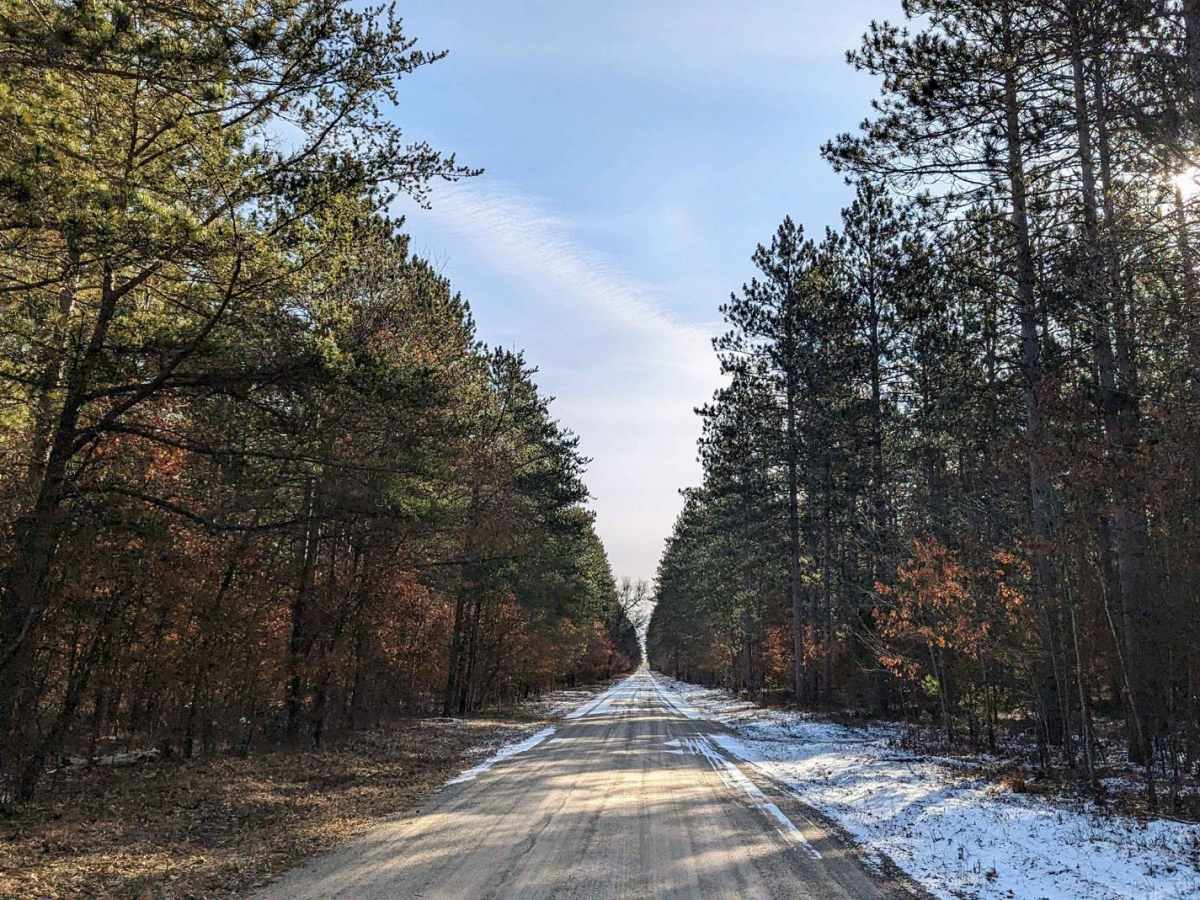 Pine Drive photo 2