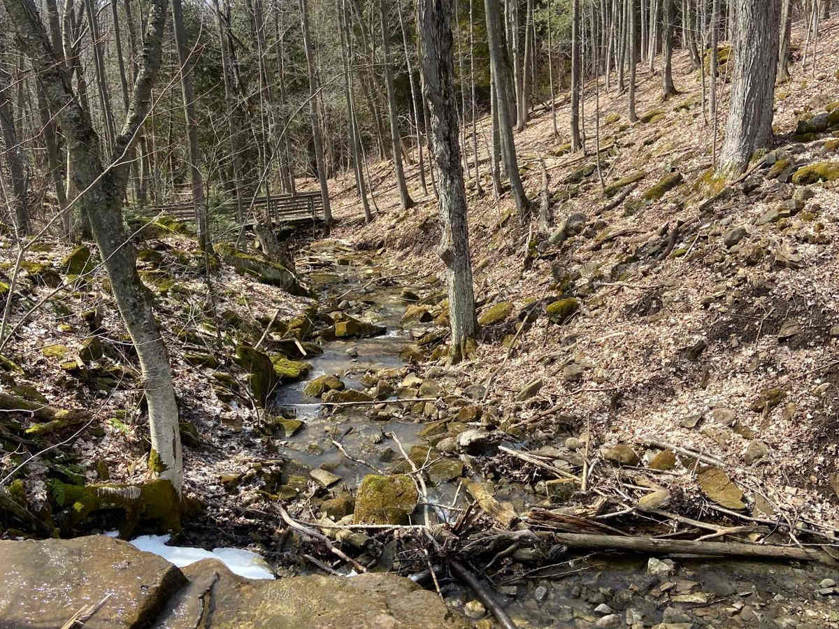 Black Edge Waterfall photo 2