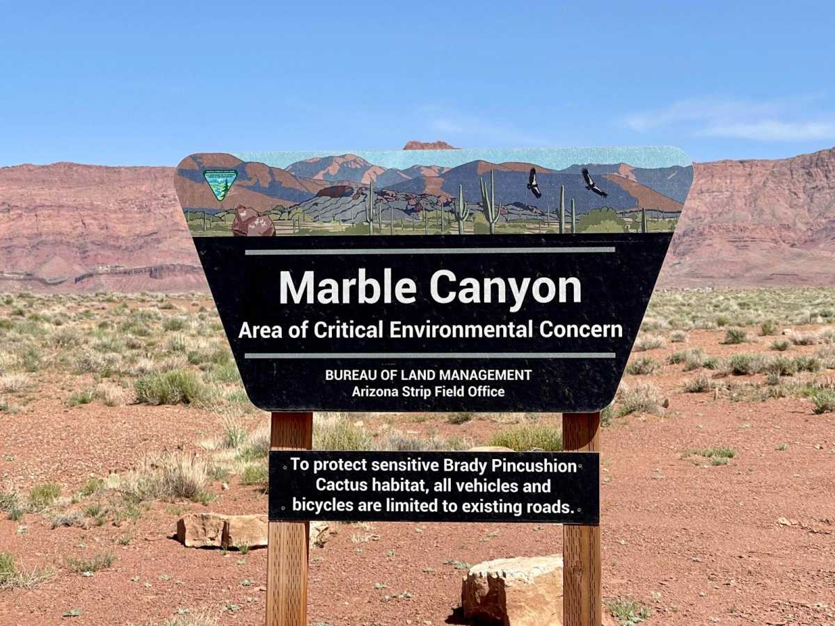 Badger Canyon photo 6