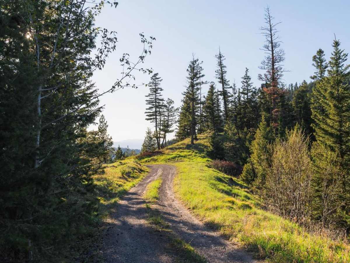 Forest Service (FS) #2127-1 trail photo