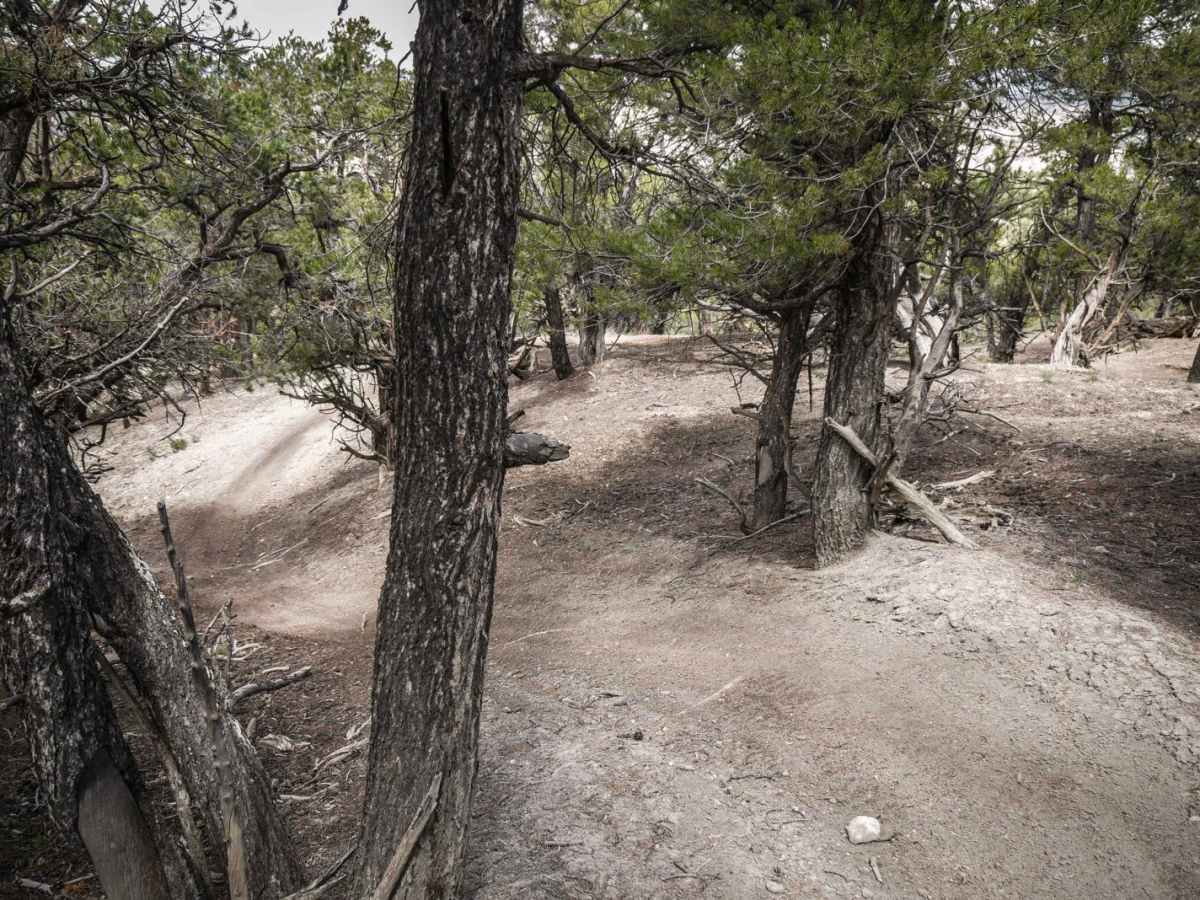 The Maze Trail photo 2