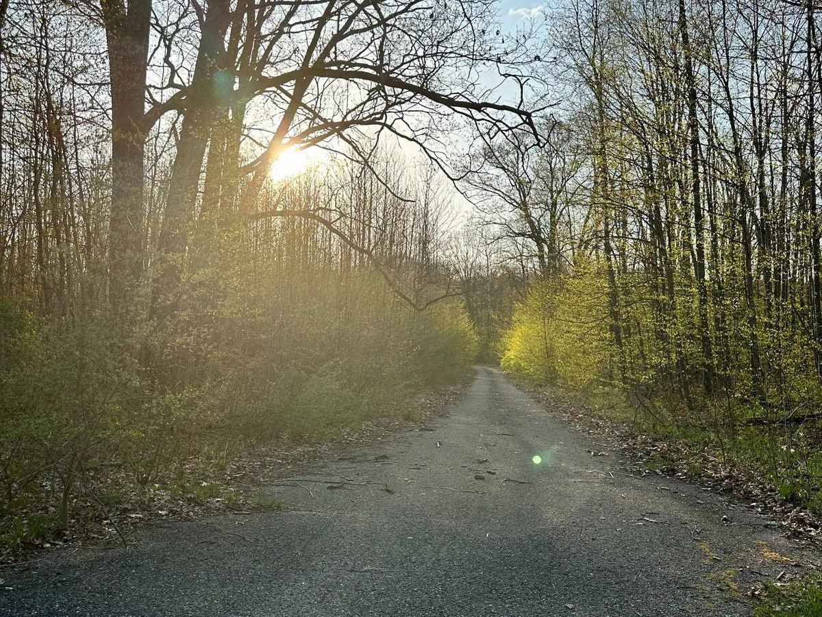 Cadillac Area ORV/OHV Scenic Ride - Part 1 photo 5