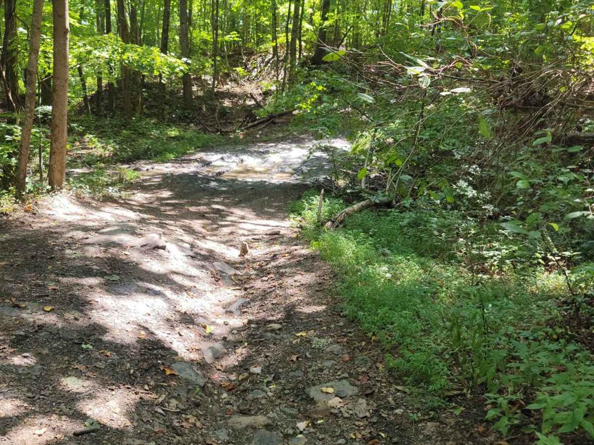 73 - Harness Creek photo 5