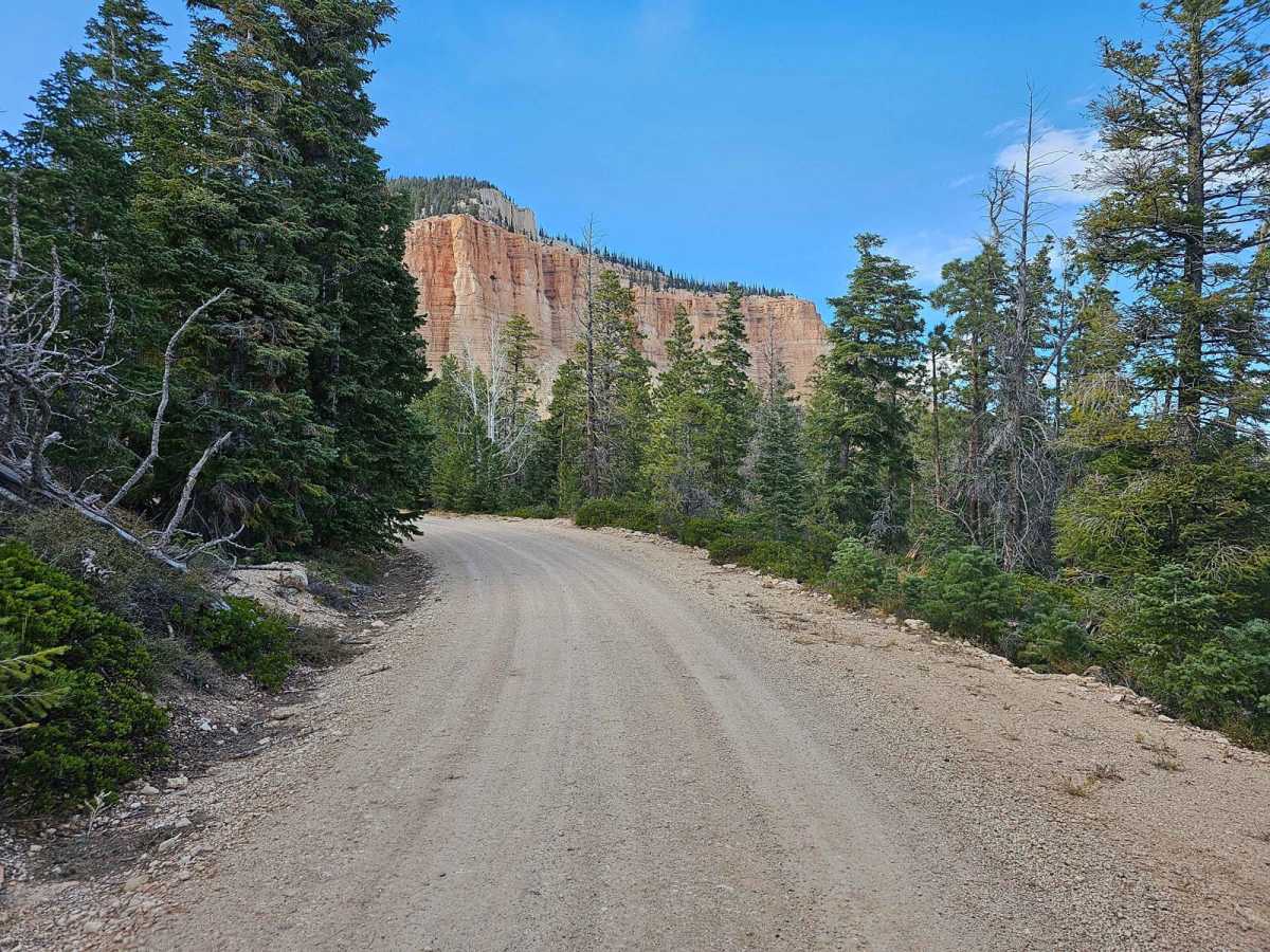 Corn Creek-Stump Springs trail photo