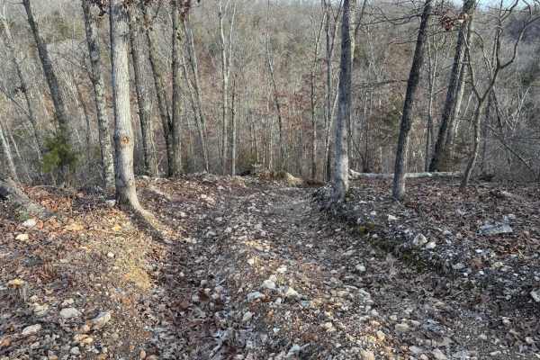 Yellow 359