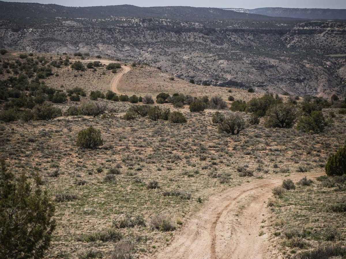 BLM Route 80A photo 3