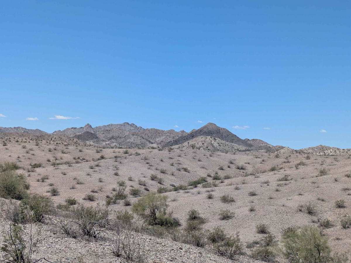 HN452 photo 3