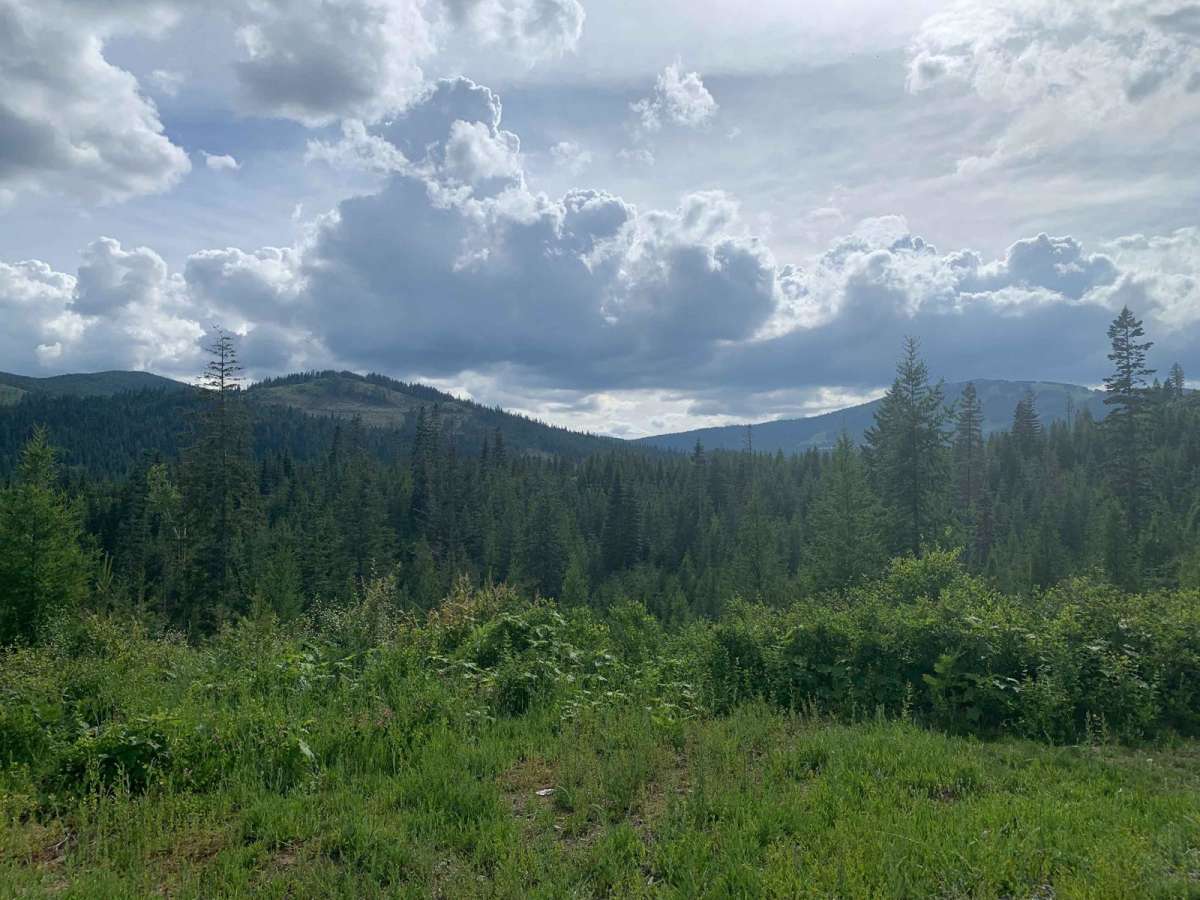 Brickel Creek Road photo 3