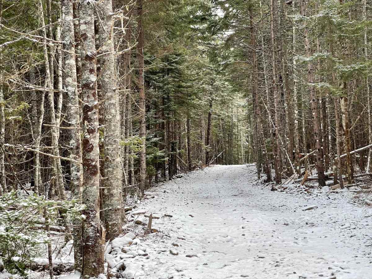 Wet Meadow Road photo 6