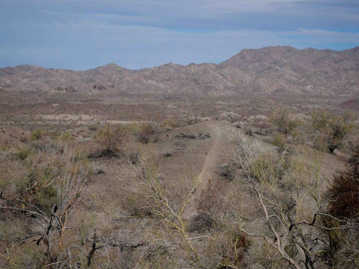 Hn475 trail photo
