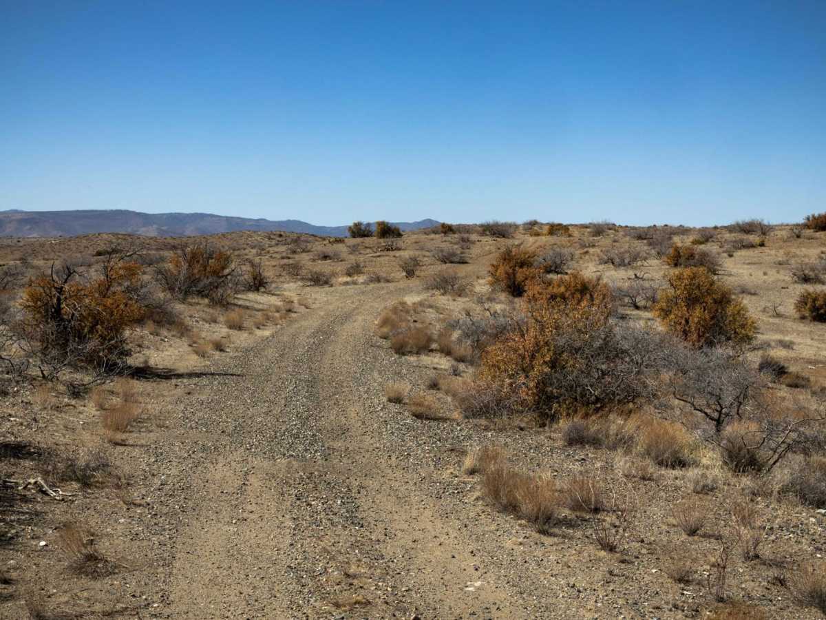 The Way Out photo 2