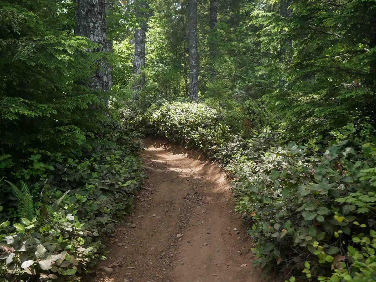 Rogers Camp Road #1 photo 5