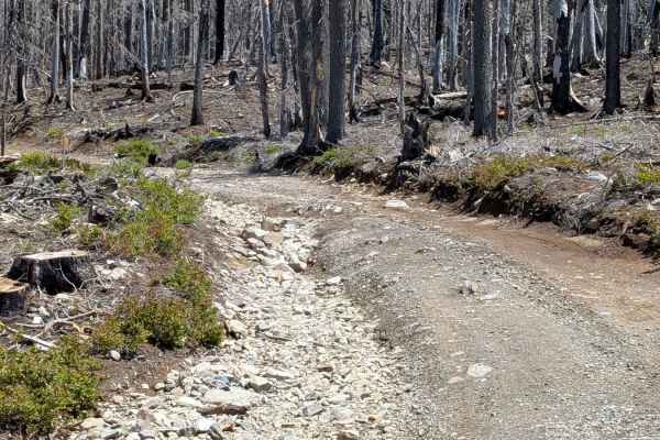 Spoon and Gibson Lakes - NF4220