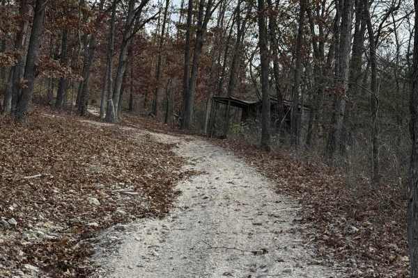 Cabin Access Trail