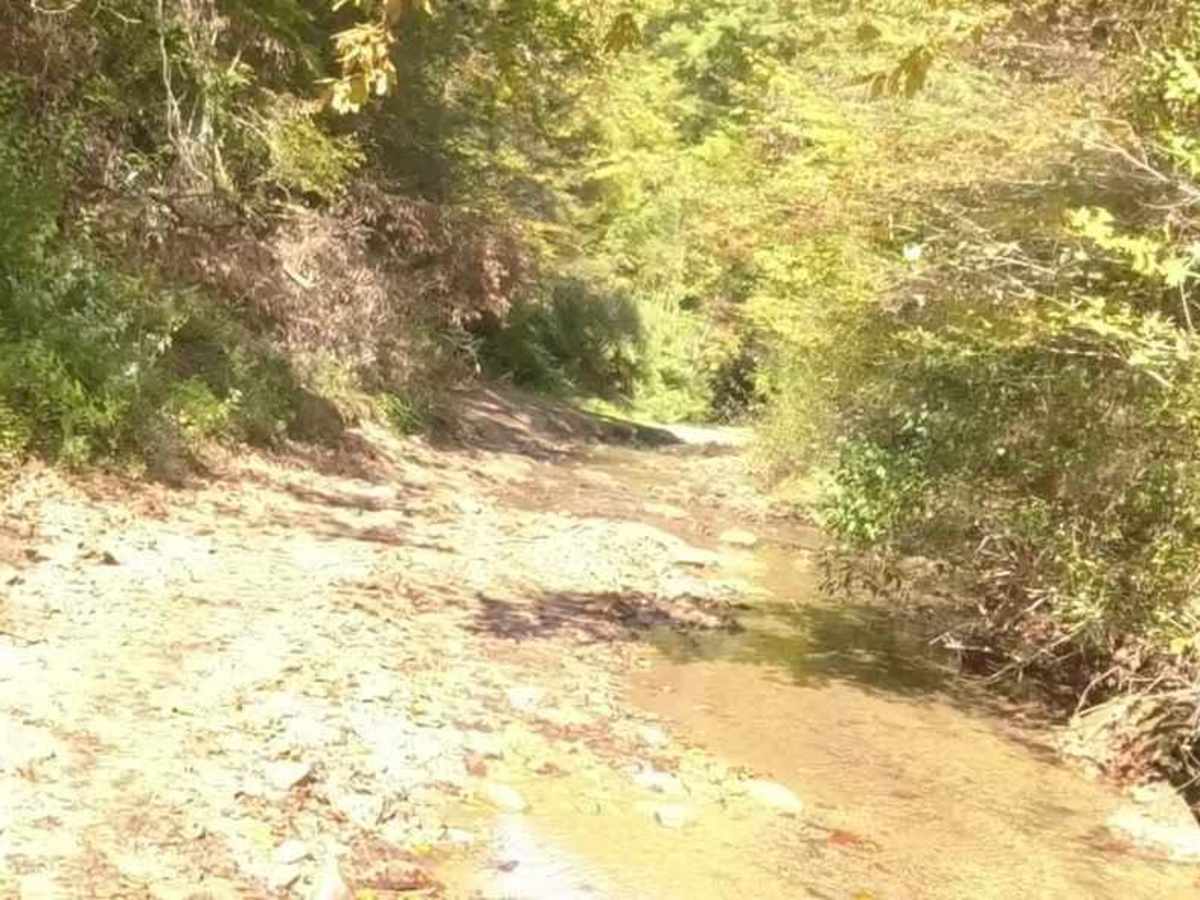Turkey Leg Hill photo 4