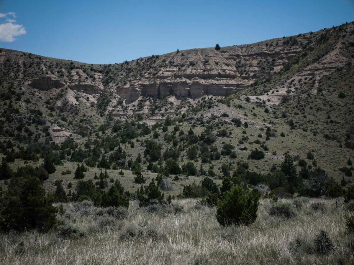 BLM 3 photo 6