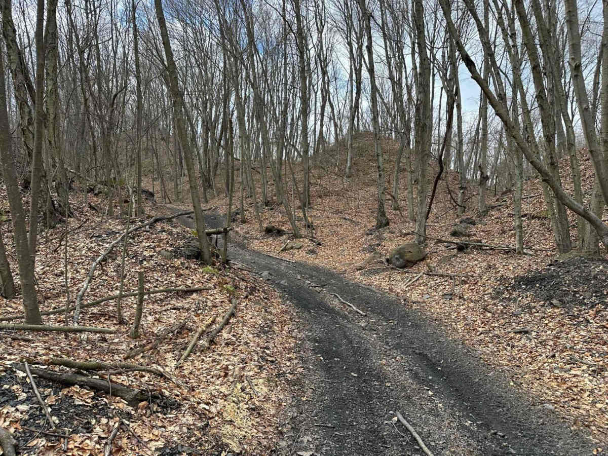 Ashland 28 trail photo